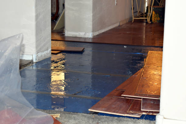 Professional Burst Pipe Water Damage technician working in Brewster, MA